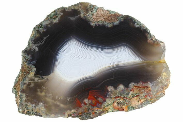 Polished Banded Agate Nodule Section - Morocco #187069